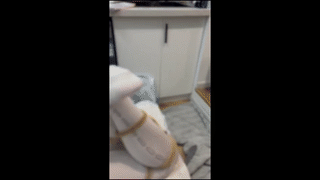 图片[14]-【口水汪】女仆装cos-捆绑踩踏-sp-tk-触乐TKee